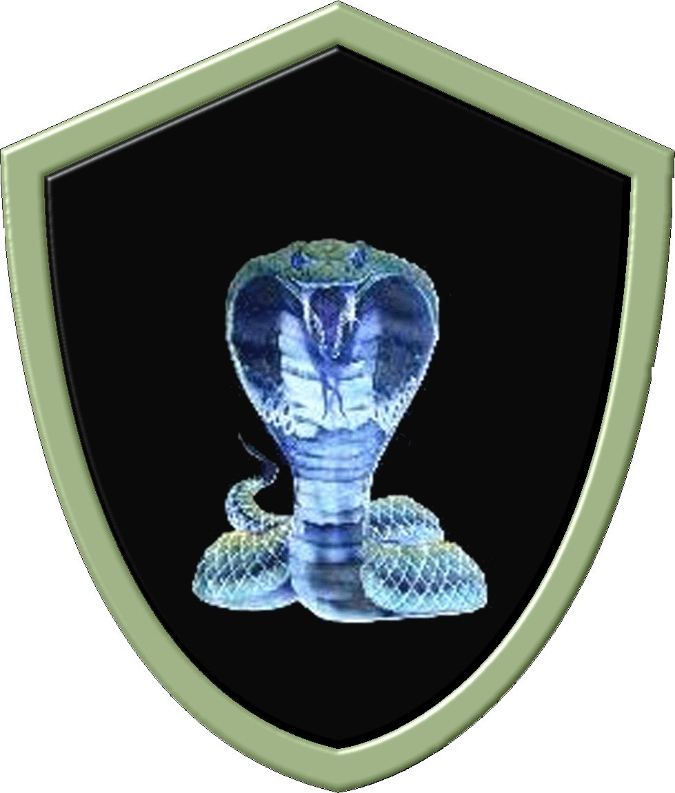 cobra11 5.gif